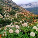 普格县柏润酒店 - 凉山彝族自治州旅游 缩略图 7