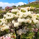 普格县柏润酒店 - 凉山彝族自治州旅游 缩略图 6