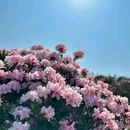 普格县柏润酒店 - 凉山彝族自治州旅游 缩略图 9