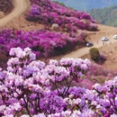 普格县柏润酒店 - 凉山彝族自治州旅游 缩略图 5