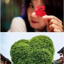 三坊七巷 - 福州市旅游 缩略图 7