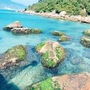 较场尾 - 深圳市旅游 缩略图 5