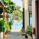 较场尾 - 深圳市旅游 缩略图 9