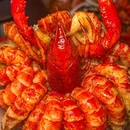 禾源甲·龙虾·烤鱼·鲜货烧烤(成都旗舰店) - 成都市旅游 缩略图 1