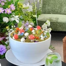 悦趣苑公馆·花园粤式融合私房菜(千灯湖) - 佛山市旅游 缩略图 4