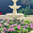 悦趣苑公馆·花园粤式融合私房菜(千灯湖) - 佛山市旅游 缩略图 9
