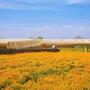 江苏三台山国家森林公园 - 宿迁市旅游 缩略图 7
