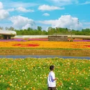 江苏三台山国家森林公园 - 宿迁市旅游 缩略图 9