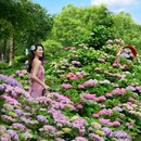 中国科学院武汉植物园 - 武汉市旅游 缩略图 3