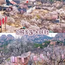 五莲山 - 日照市旅游 缩略图 2