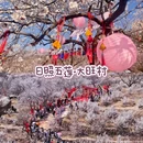 五莲山 - 日照市旅游 缩略图 3