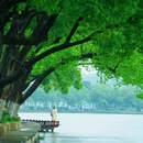 玄武湖景区 - 南京市旅游 缩略图 3
