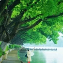 玄武湖景区 - 南京市旅游 缩略图 1