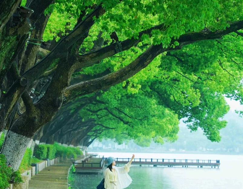 玄武湖景区 - 南京市旅游 1
