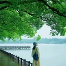 玄武湖景区 - 南京市旅游 缩略图 2