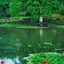 玄武湖景区 - 南京市旅游 缩略图 8