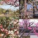 虞山尚湖旅游度假区 - 苏州市旅游 缩略图 2