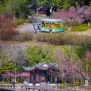 虞山尚湖旅游度假区 - 苏州市旅游 缩略图 5