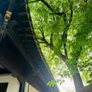 东坡赤壁 - 黄冈市旅游 缩略图 3