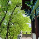 东坡赤壁 - 黄冈市旅游 缩略图 7