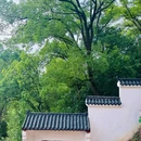 东坡赤壁 - 黄冈市旅游 缩略图 8
