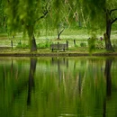 上海共青森林公园 - 上海市旅游 缩略图 7
