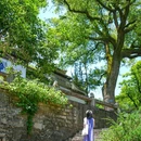 虎丘山风景名胜区 - 苏州市旅游 缩略图 2