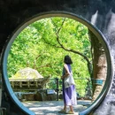 虎丘山风景名胜区 - 苏州市旅游 缩略图 8