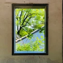 虎丘山风景名胜区 - 苏州市旅游 缩略图 7