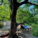 虎丘山风景名胜区 - 苏州市旅游 缩略图 9