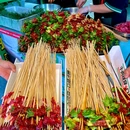 成都市植物园 - 成都市旅游 缩略图 6