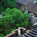 可园博物馆-博物馆区 - 东莞市旅游 缩略图 2