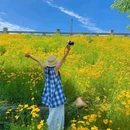 青龙湖二期公园 - 成都市旅游 缩略图 5