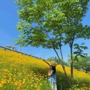 青龙湖二期公园 - 成都市旅游 缩略图 1