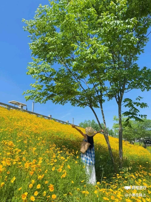 青龙湖二期公园 - 成都市旅游