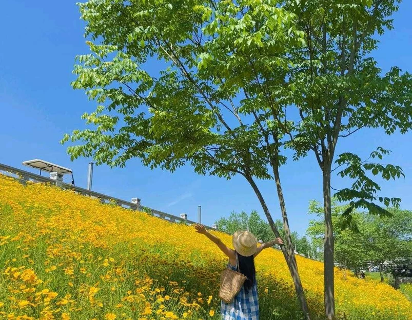 青龙湖二期公园 - 成都市旅游 1