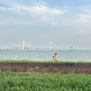 南沙凫洲大桥超级堤露营地 - 广州旅游 缩略图 4