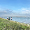 南沙凫洲大桥超级堤露营地 - 广州旅游 缩略图 2