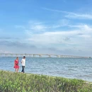 南沙凫洲大桥超级堤露营地 - 广州旅游 缩略图 3