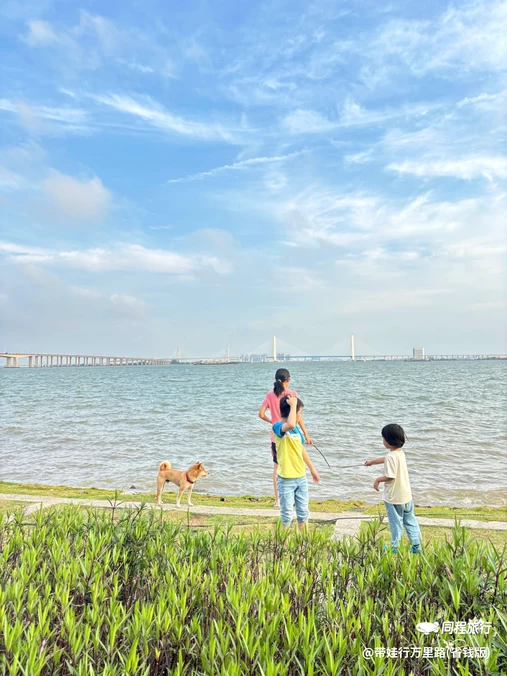南沙凫洲大桥超级堤露营地 - 广州旅游