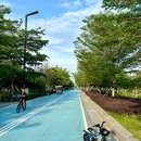 南沙凫洲大桥超级堤露营地 - 广州旅游 缩略图 7