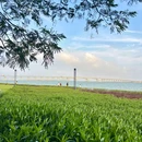 南沙凫洲大桥超级堤露营地 - 广州旅游 缩略图 6