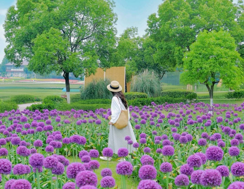 花博汇 - 武汉市旅游 1