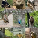 黔灵山公园 - 贵阳市旅游 缩略图 5