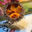 桐花铁板烧(王府井金宝汇店) - 北京市旅游 缩略图 5