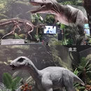 遇见博物馆·恐龙化石特展 - 杭州市旅游 缩略图 1