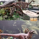 遇见博物馆·恐龙化石特展 - 杭州市旅游 缩略图 5