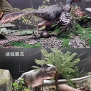 遇见博物馆·恐龙化石特展 - 杭州市旅游 缩略图 6