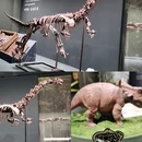遇见博物馆(798店) - 北京市旅游 缩略图 2
