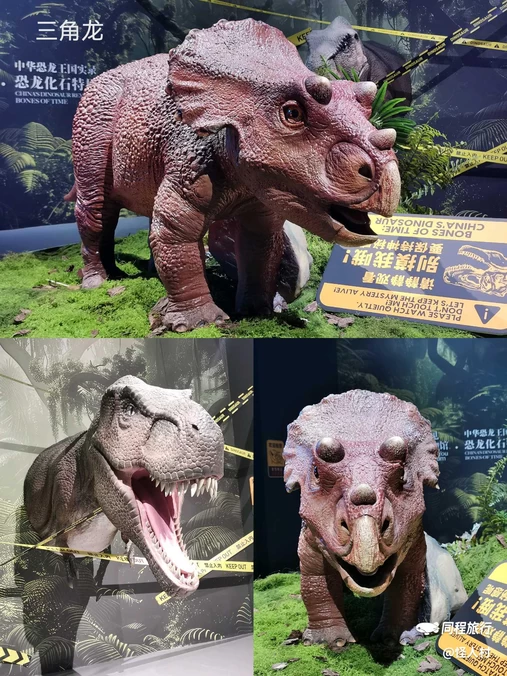 遇见博物馆(798店) - 北京市旅游